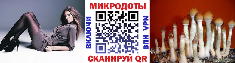Псилоцибиновые грибы прущие грибы  купить  сайты  Чернушка 